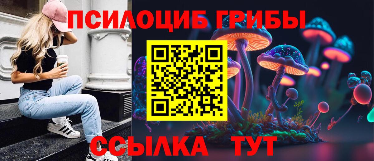 Галлюциногенные грибы Psilocybine cubensis Зеленокумск