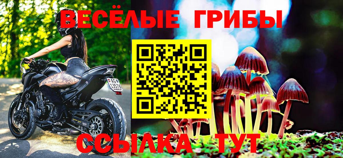 Галлюциногенные грибы GOLDEN TEACHER  Вход с VPN  Зеленокумск 